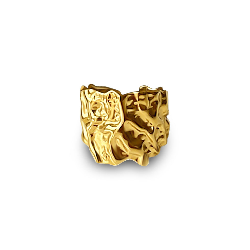 CHINKRING_1ee1daa6-d5cc-4cf1-acf9-cd8e081598cb.jpg
